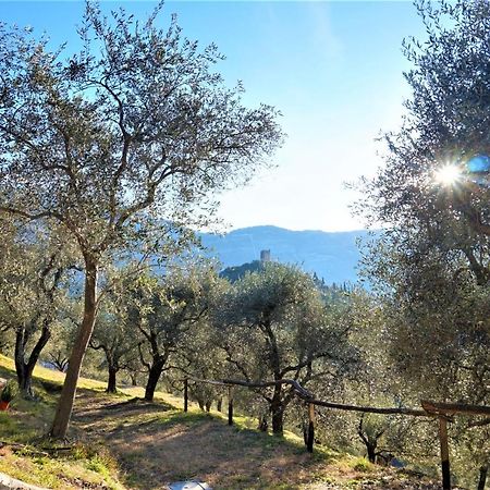 Chalet Laghel Arco Dış mekan fotoğraf